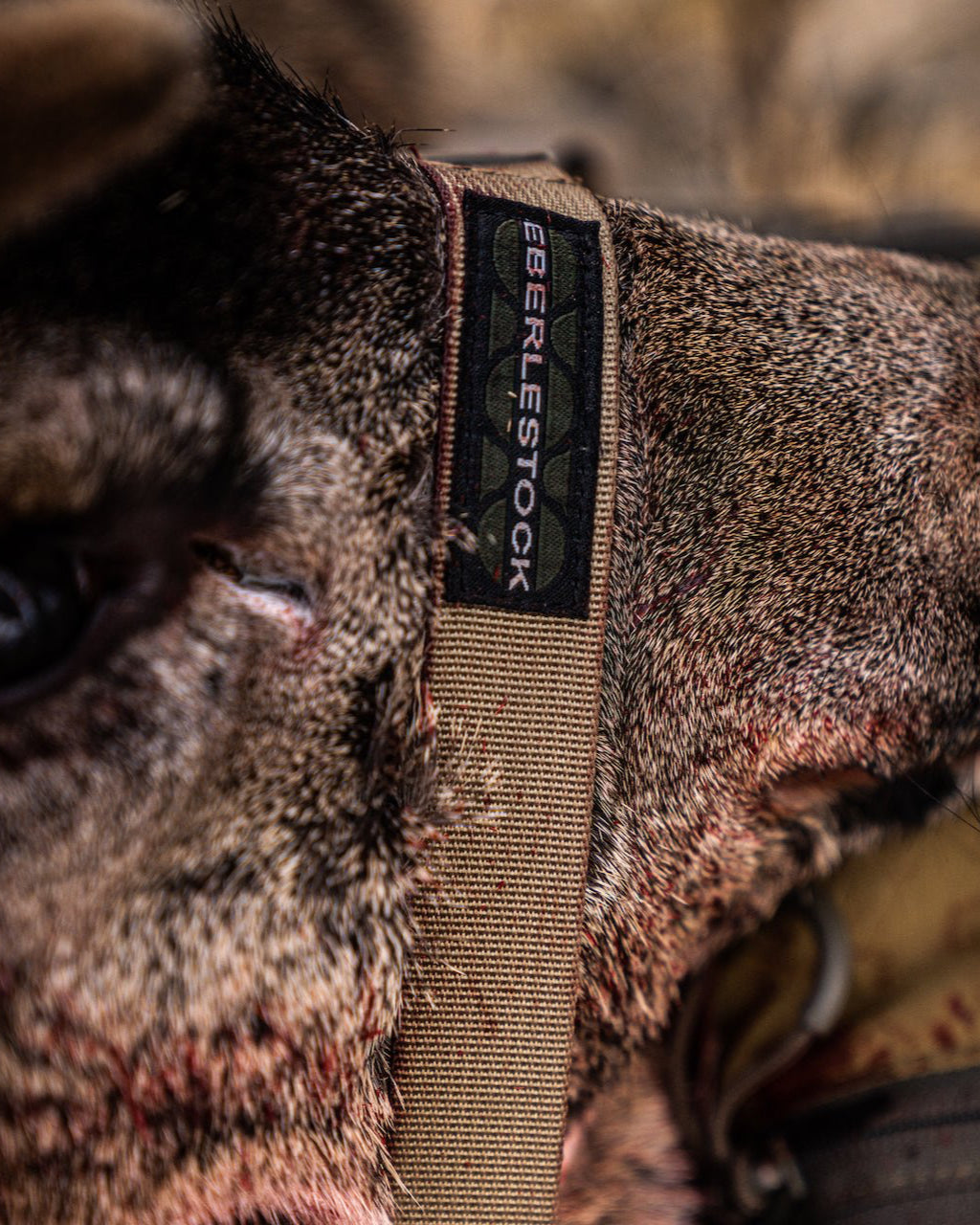 eberlestock-emod-25mm-extension-straps-hd-dry-earth image 3