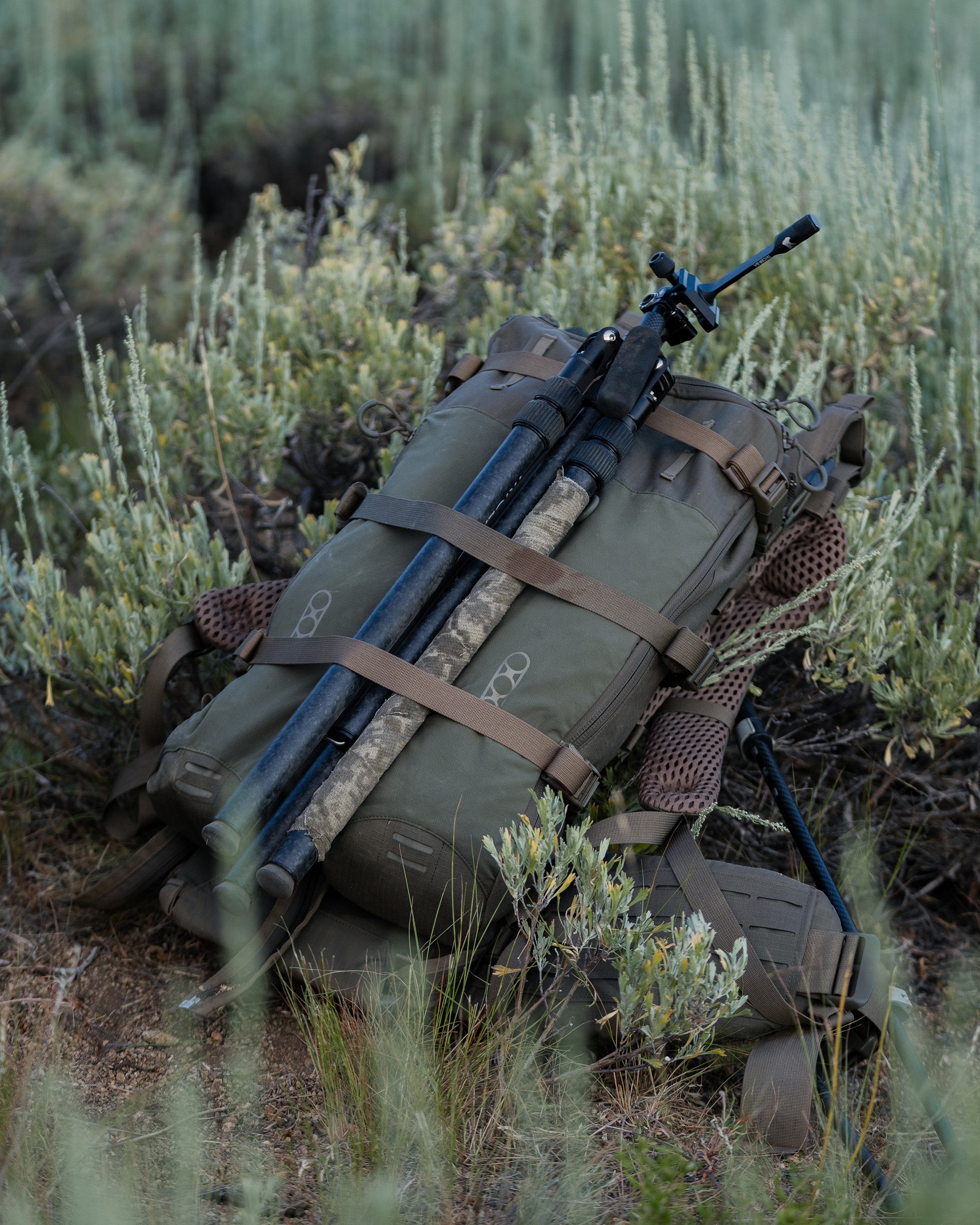 eberlestock-batwing-v2-zusatztasche-dry-earth-molle-700ci image 5