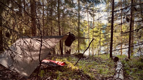 Super Shelter