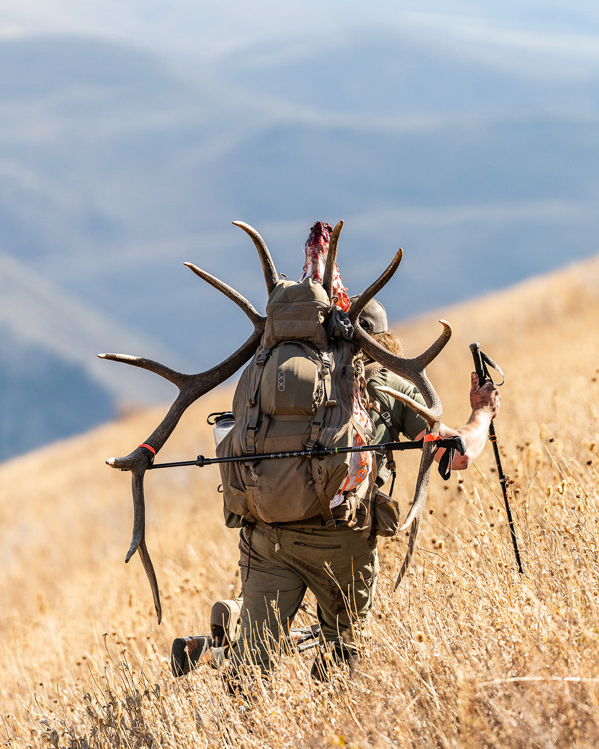 eberlestock-brute-6500-jagdrucksack-gro-backcountry image 4