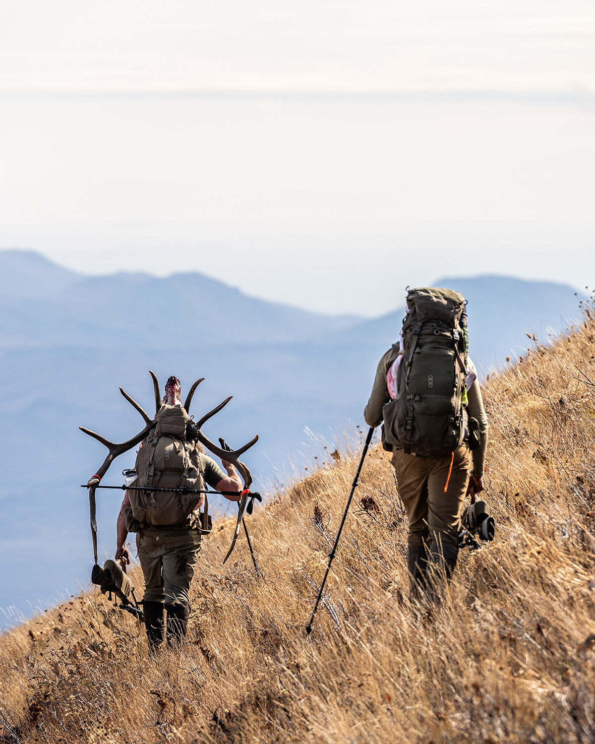 eberlestock-brute-6500-jagdrucksack-gro-backcountry image 2