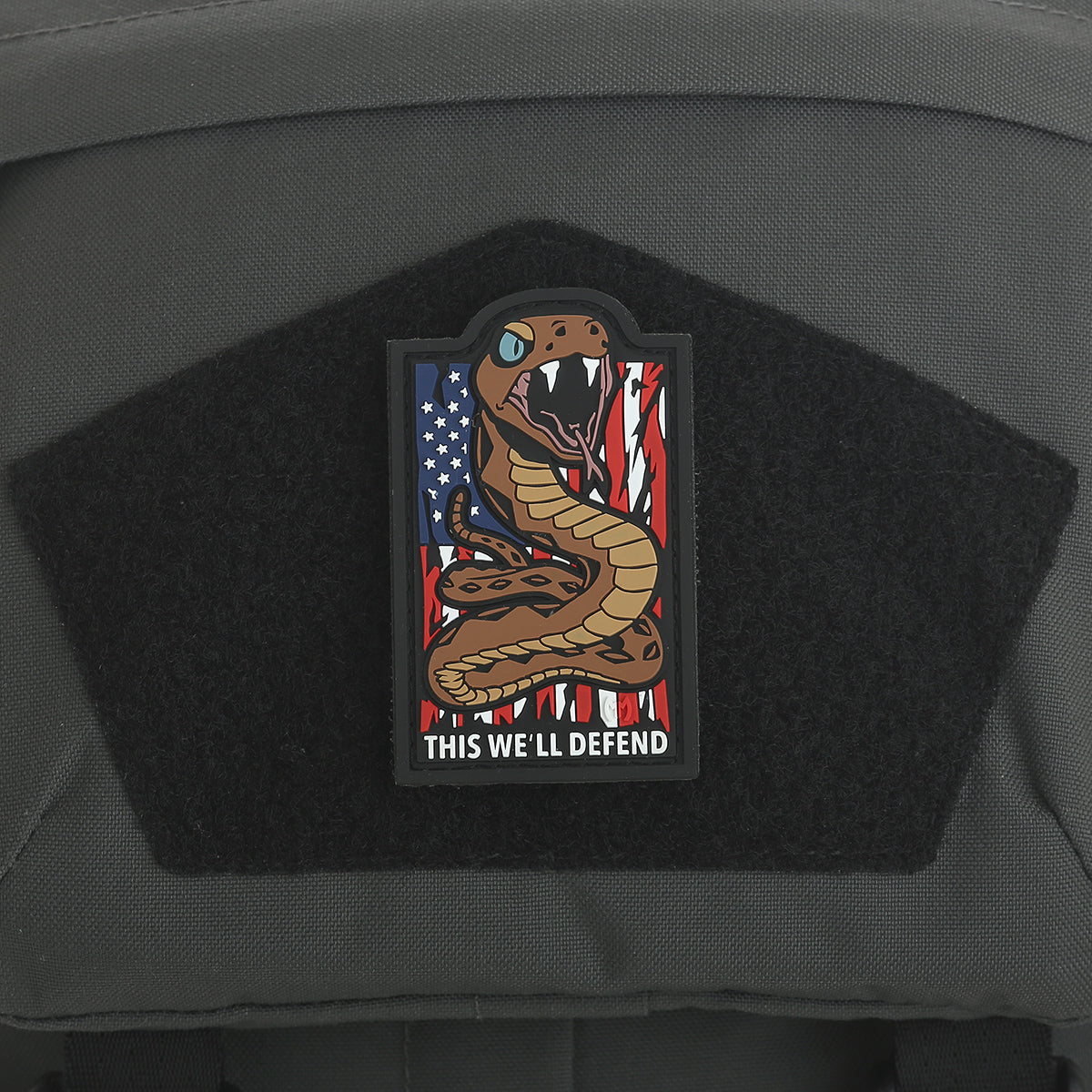 maxpedition-this-we-ll-defend-morale-patch-full-color-pvc image 4